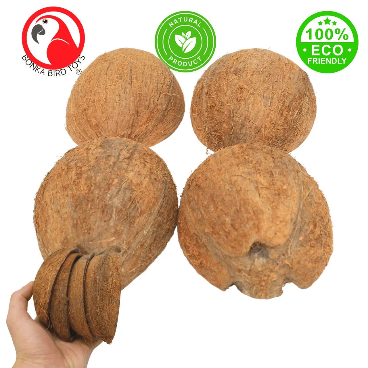 3275 Pk4 Half Shell Coconuts with Fiber