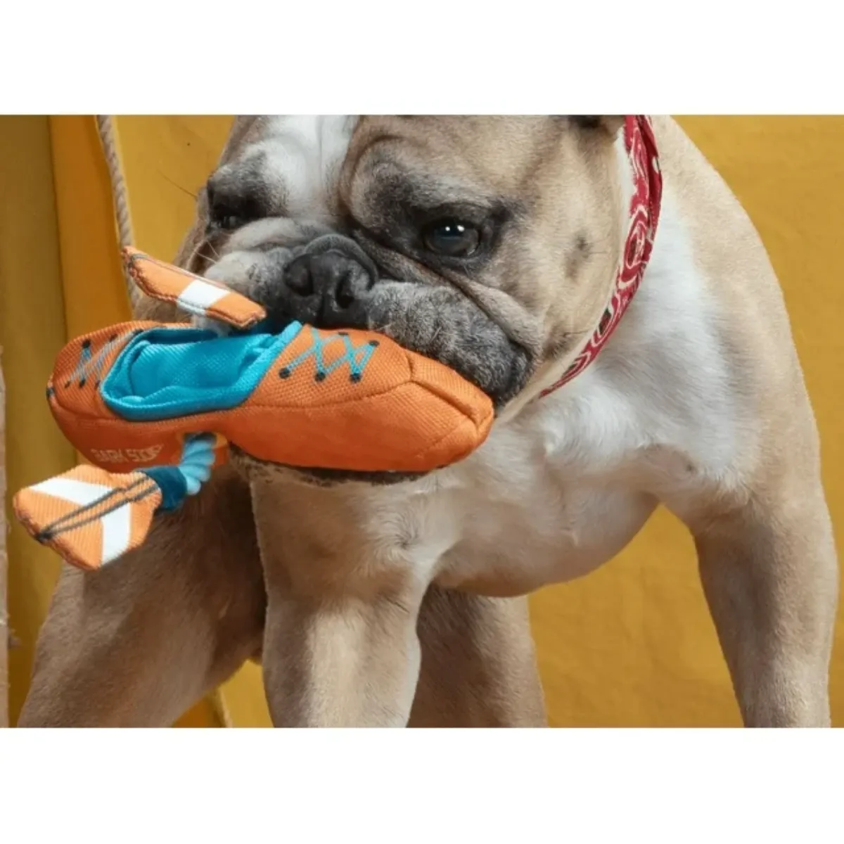 Bark Off-Track Kayak Plush Dog Toy