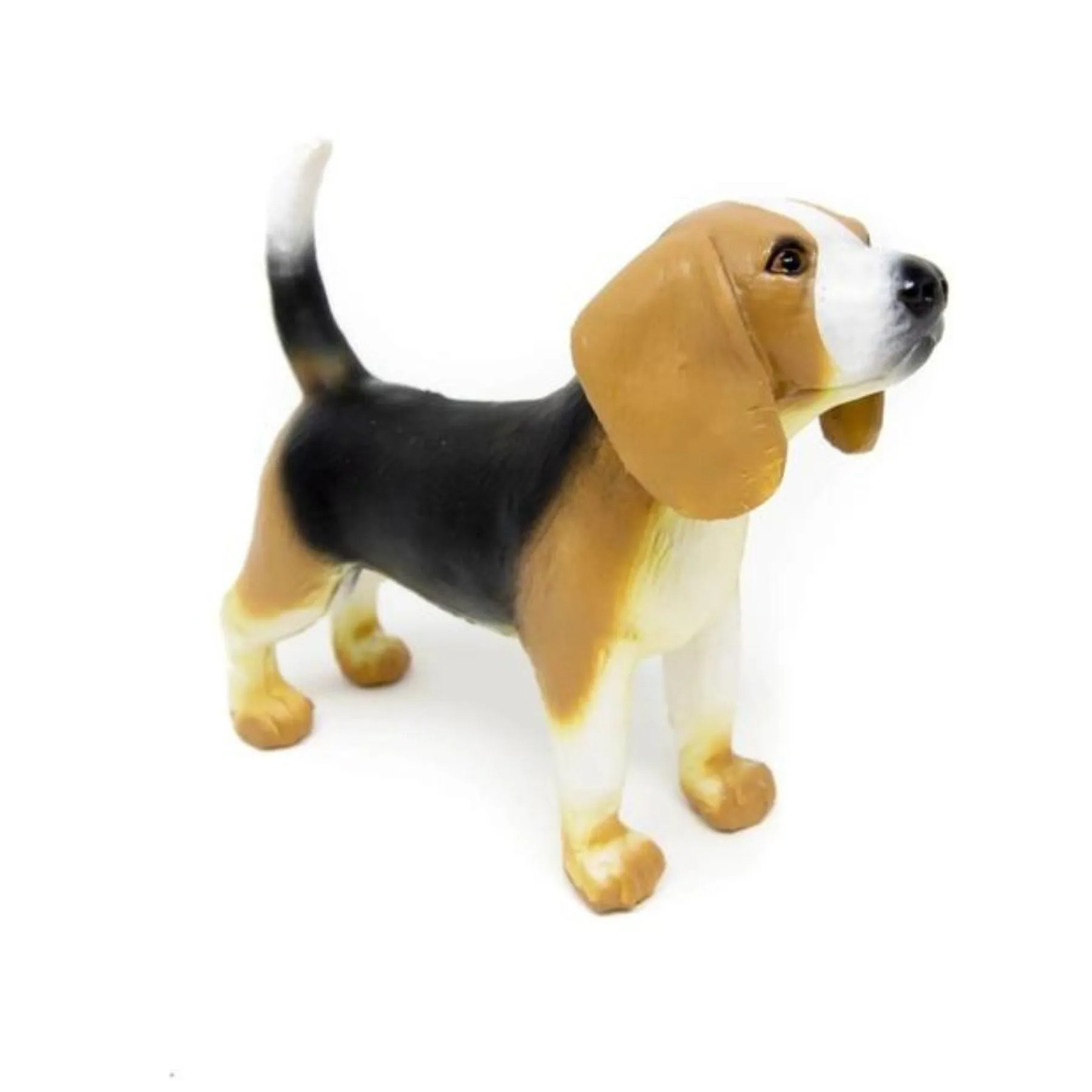 Beagle Dog