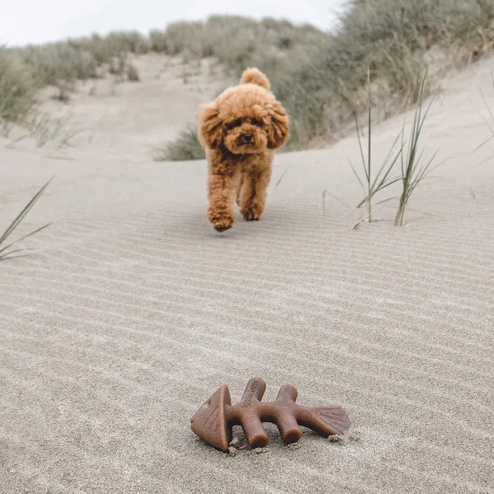 Benebone Fishbone Jack Salmon, Dog Toy