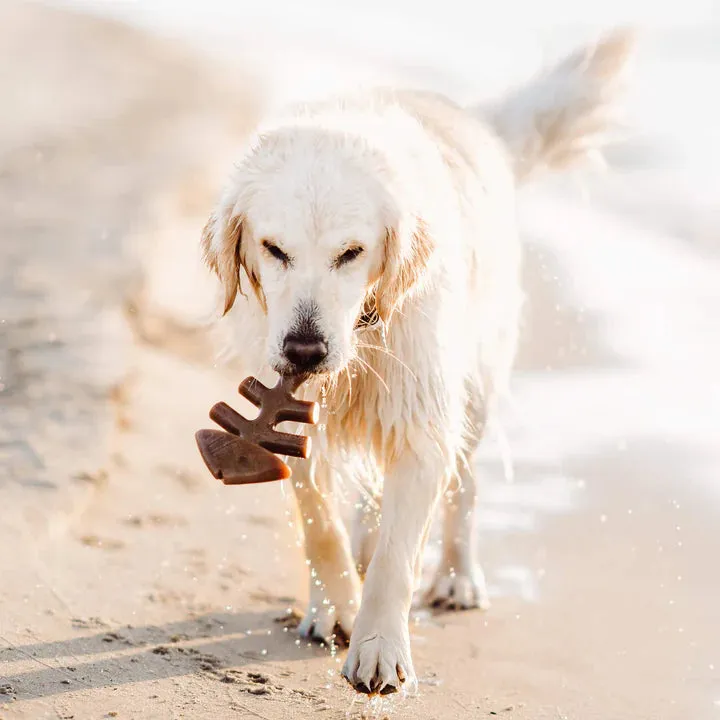 Benebone Fishbone Jack Salmon, Dog Toy