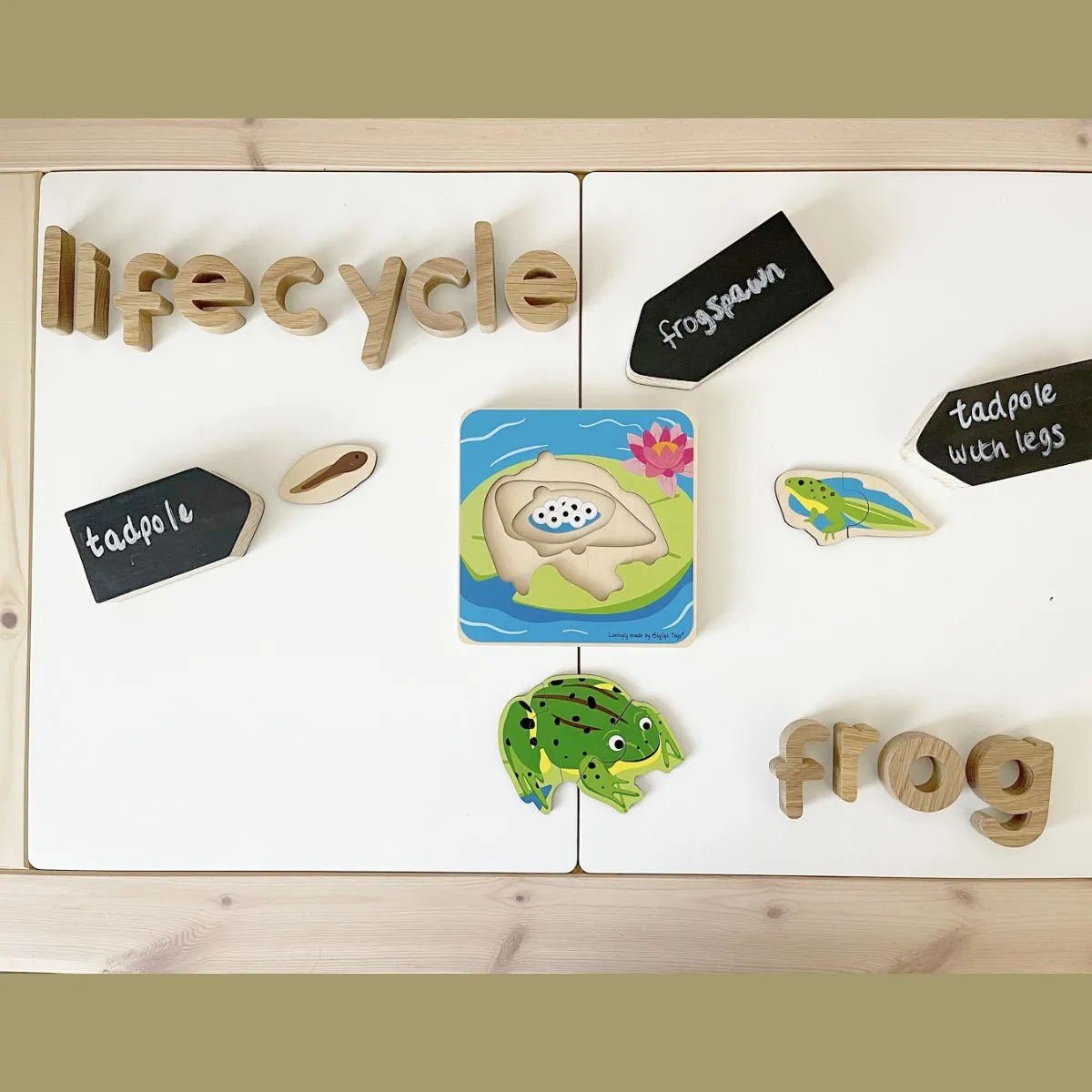 Bigjigs Toys Lifecycle Puzzle Frog