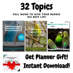 Budgie Educational Ebooks Bundle 2