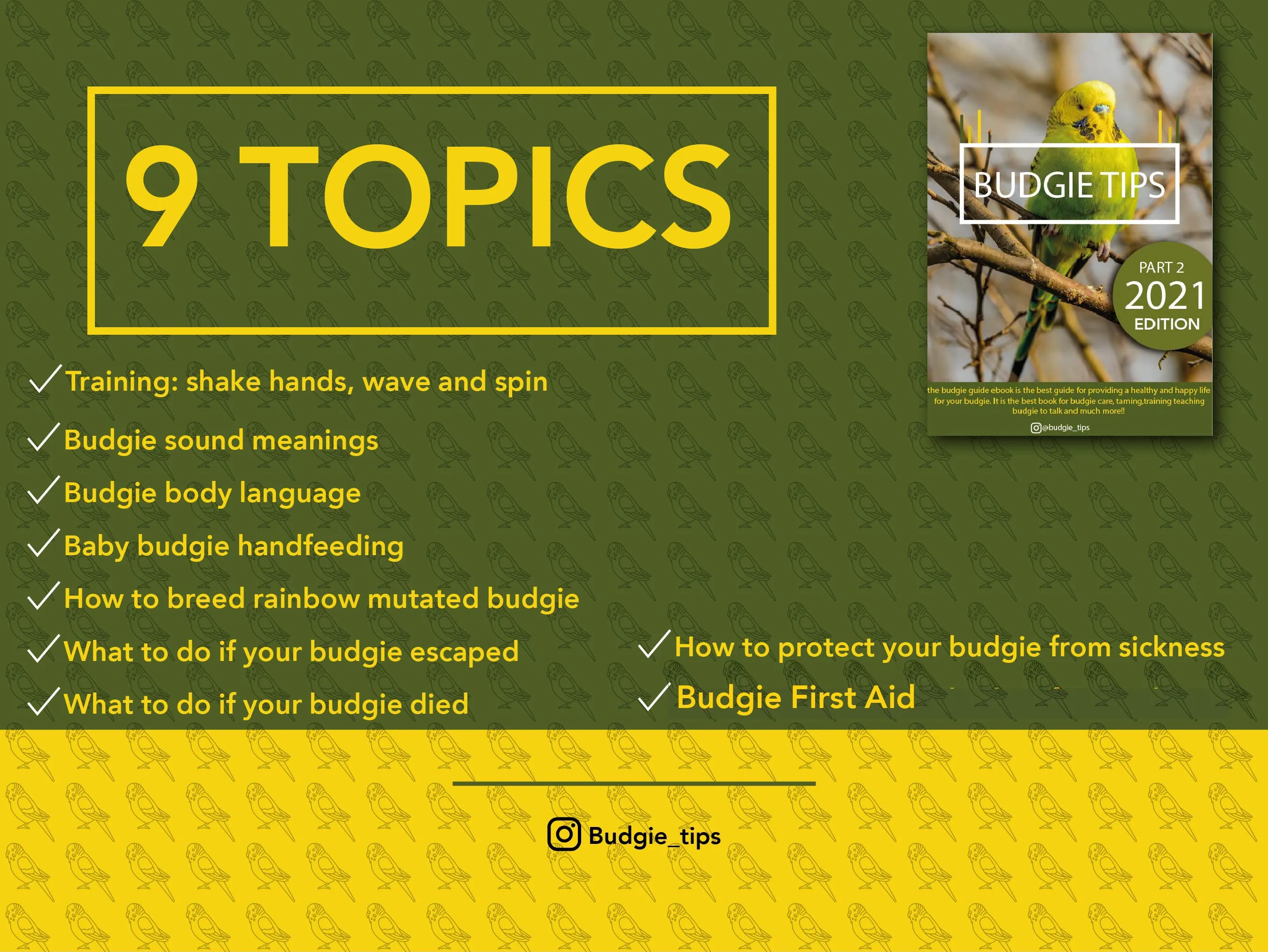 Budgie Educational Ebooks Bundle 2