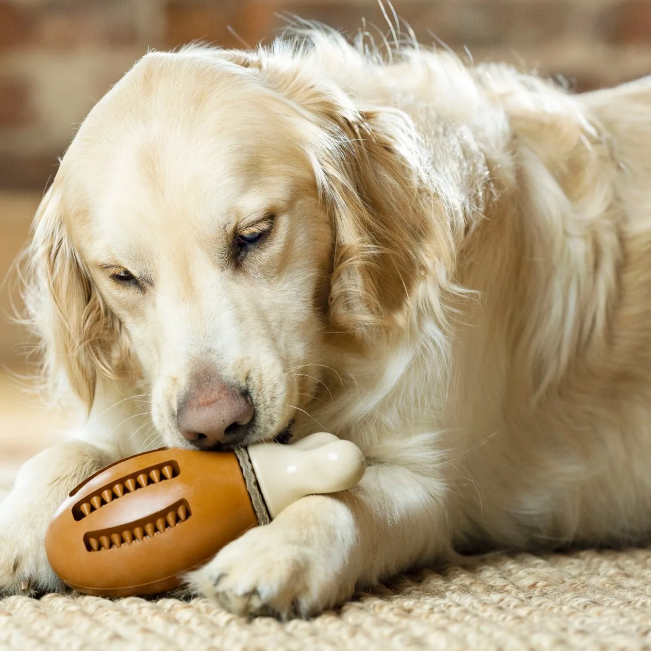 Chompin’ Chicken Treat Ring Dog Toy