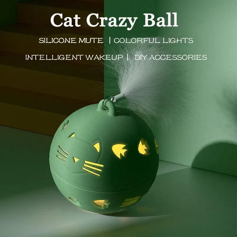 Crazy Ball Interactive Cat Toy