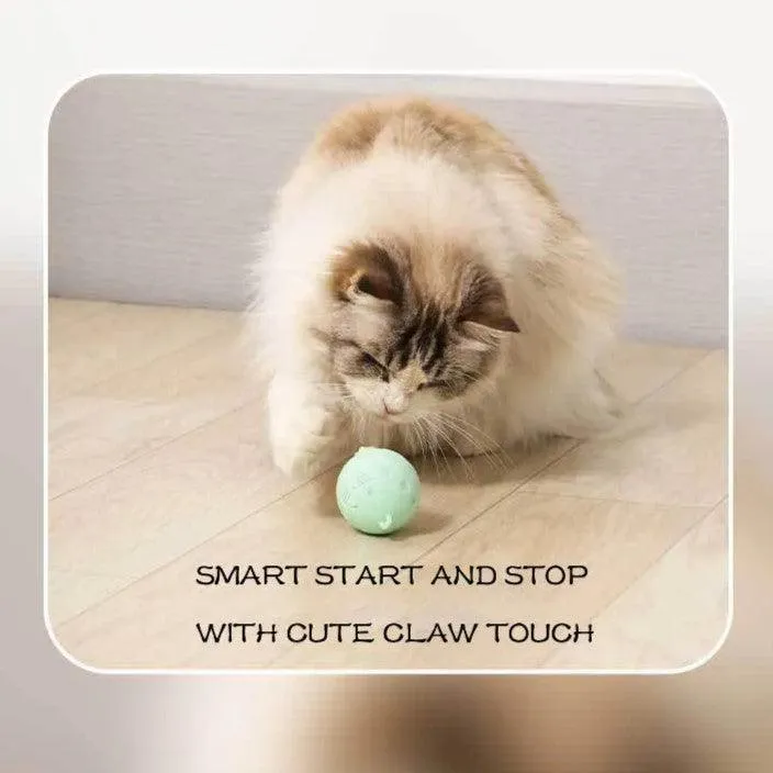 Crazy Ball Interactive Cat Toy