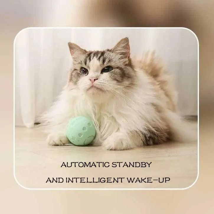 Crazy Ball Interactive Cat Toy