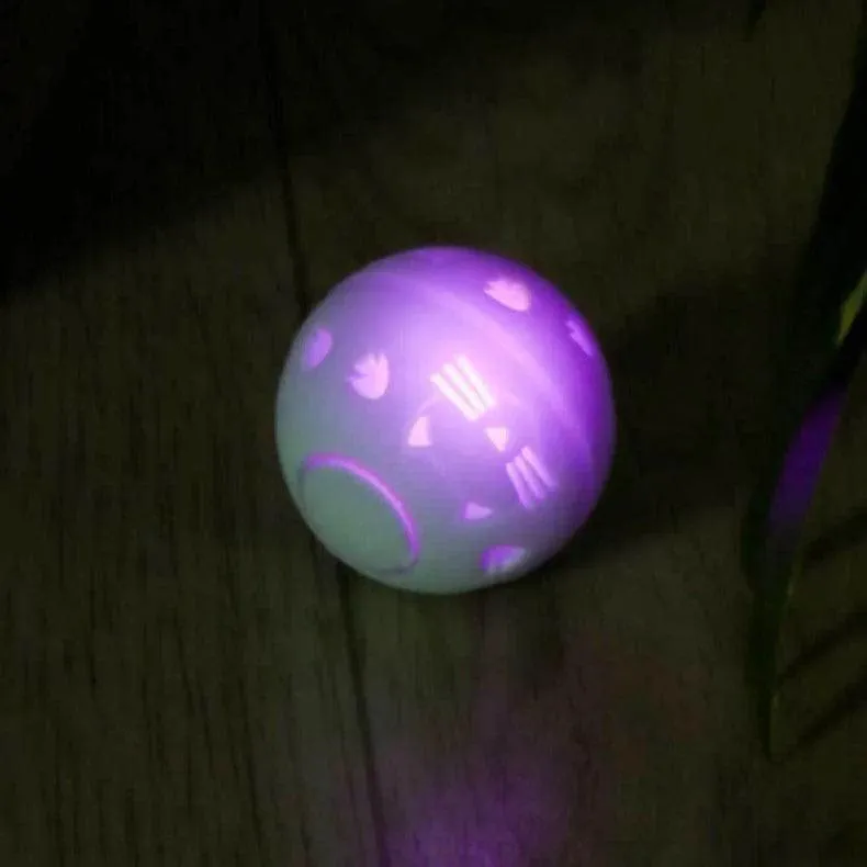 Crazy Ball Interactive Cat Toy