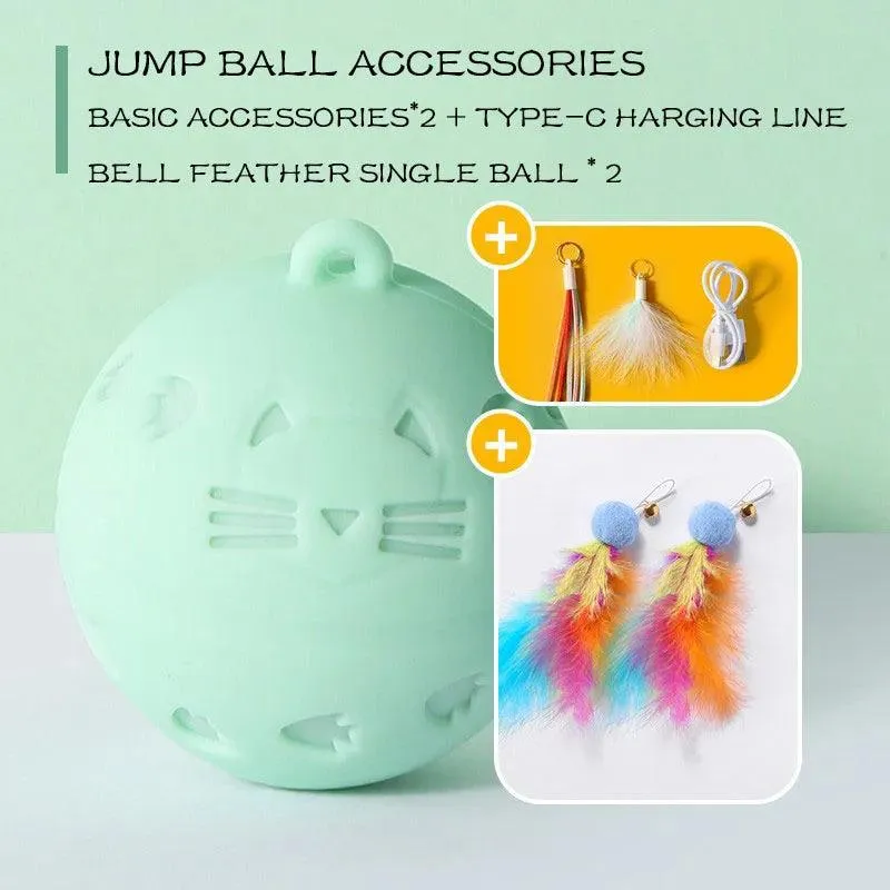 Crazy Ball Interactive Cat Toy