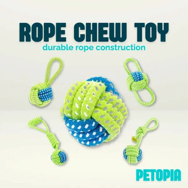 Dog Teeth Chew Rope Ball Toy