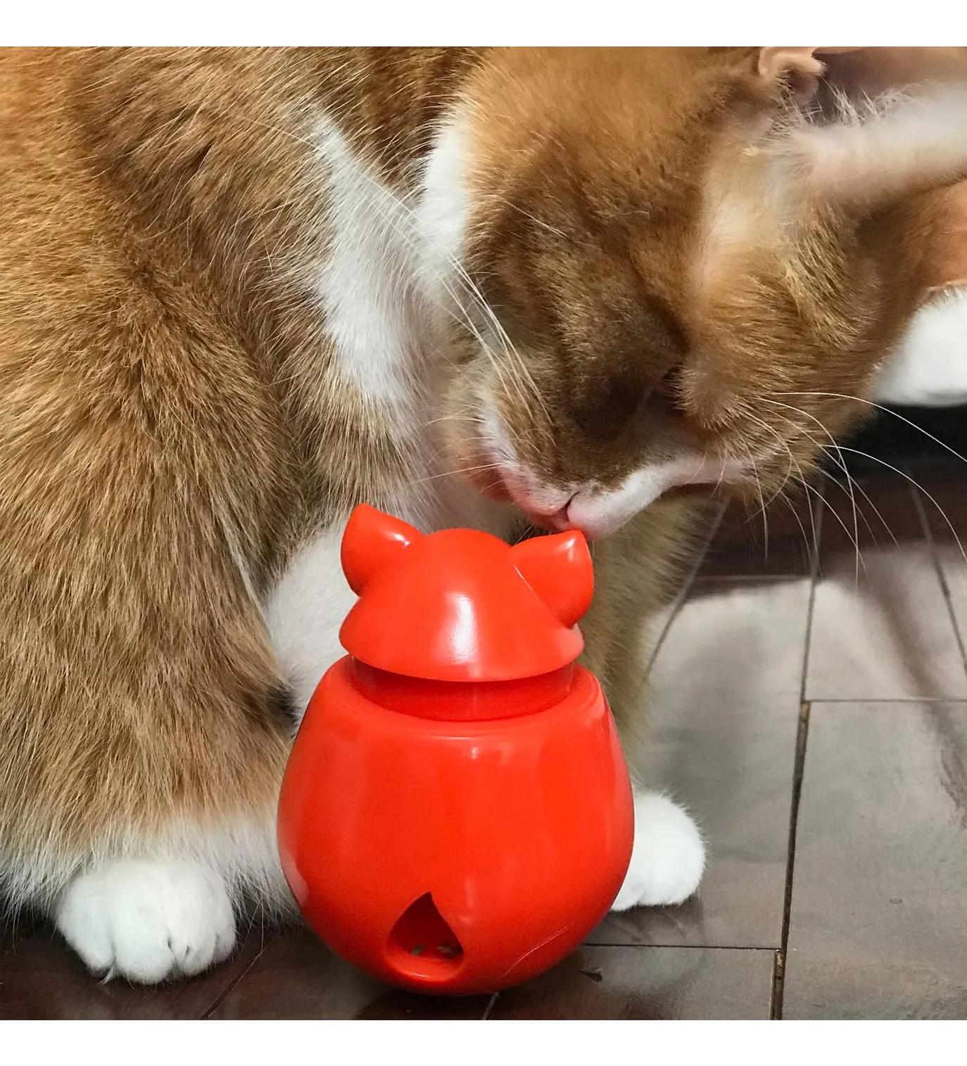 DoyenWorld Dispensing Cat Toy