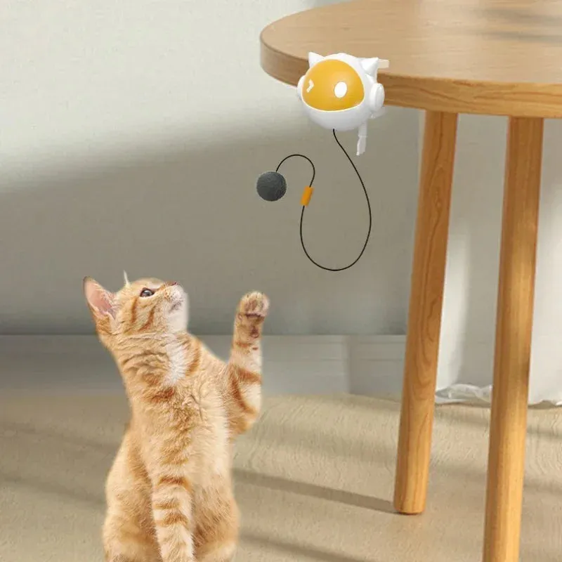 Exciting Electric Cat Balls