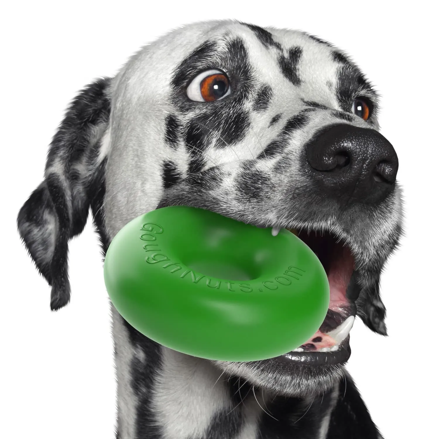 Goughnuts - Original Green Ring Dog Toy