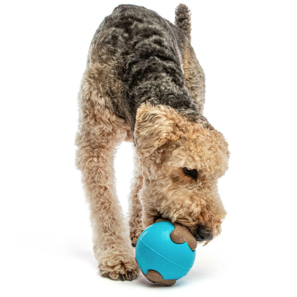 GURU Busy Ball Treat Dispenser Dog Toy, Medium