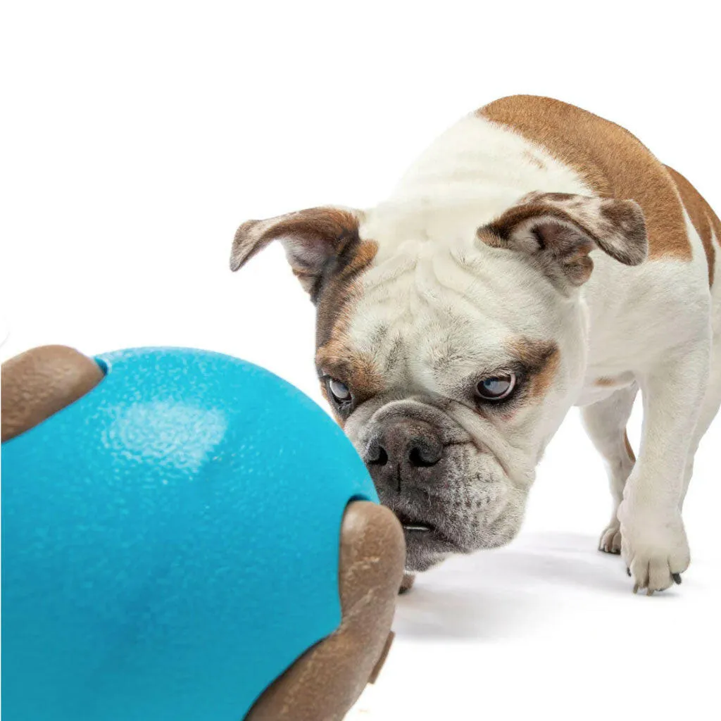 GURU Busy Ball Treat Dispenser Dog Toy, Medium