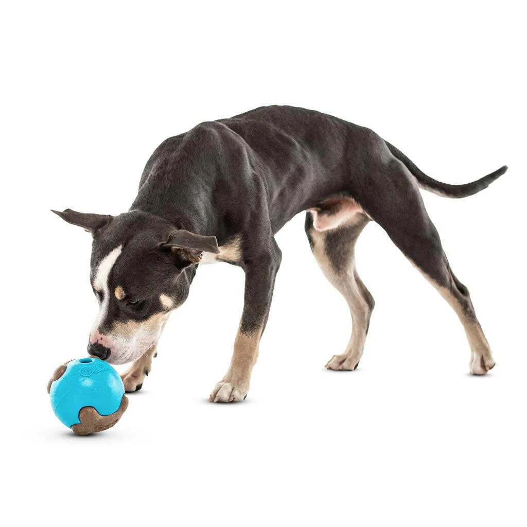 GURU Busy Ball Treat Dispenser Dog Toy, Medium