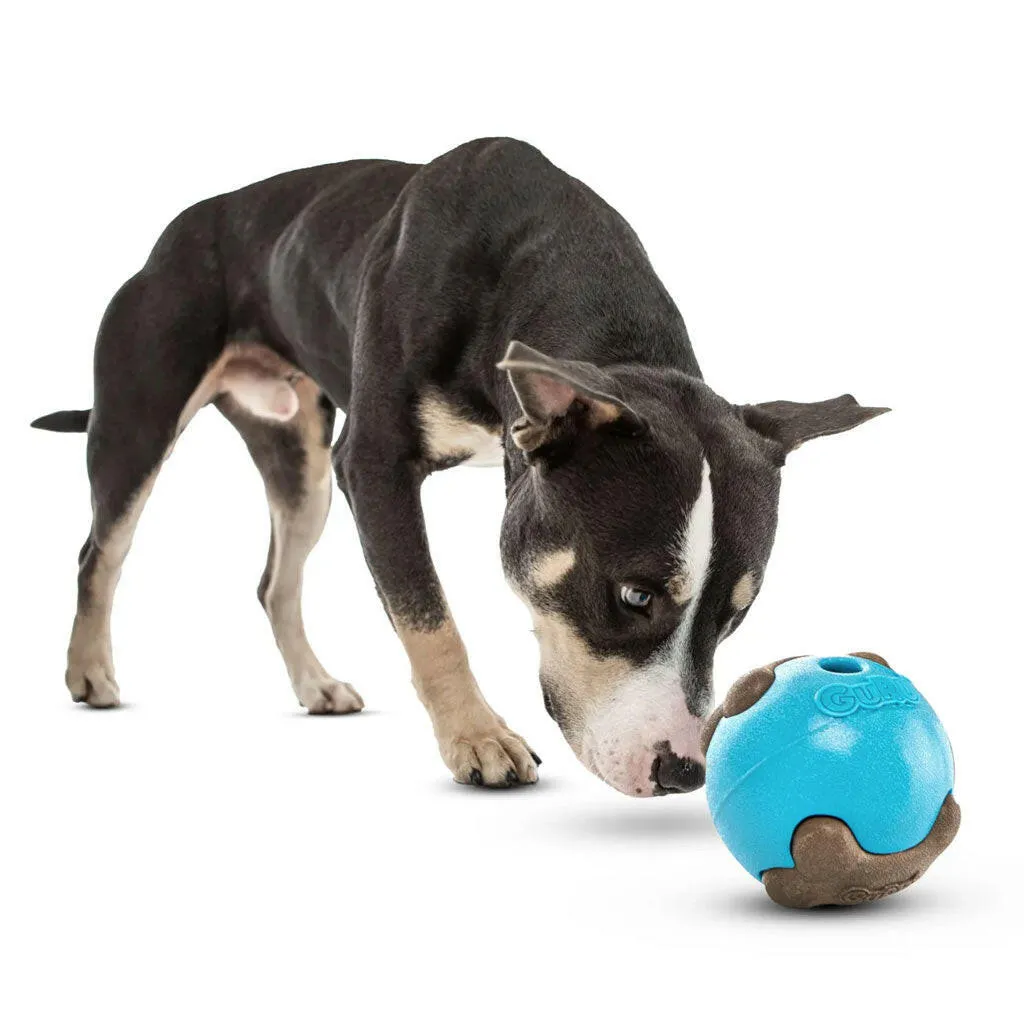 GURU Busy Ball Treat Dispenser Dog Toy, Medium