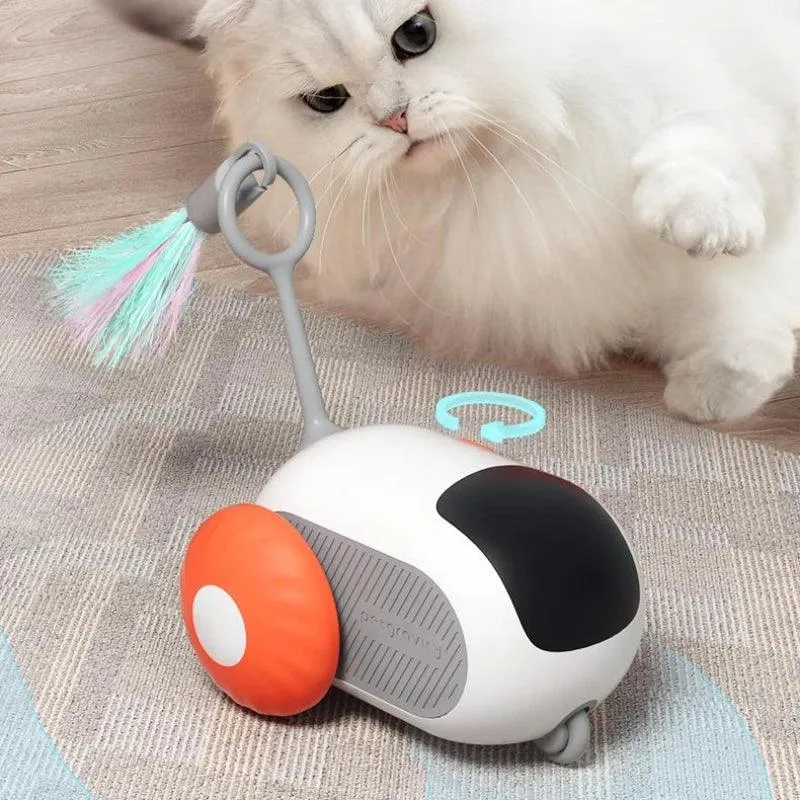 Interactive Cat Toy USB