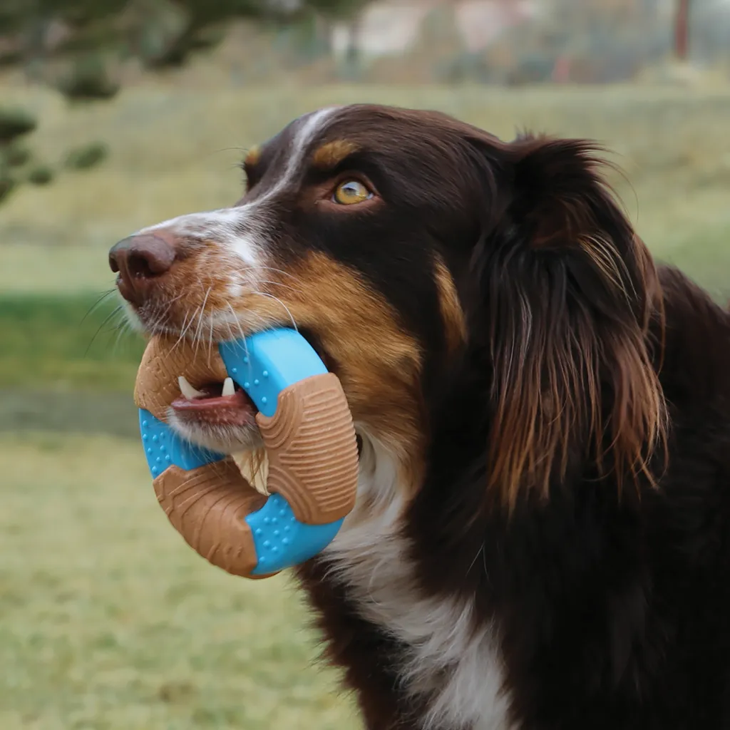 Kong CoreStrength Bamboo Bone Toy For Dogs, Large