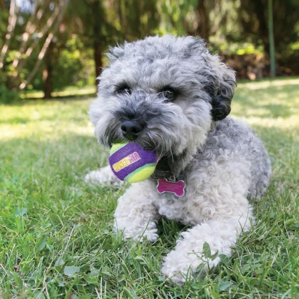 Kong Crunch Air Balls Chew Toy For Dogs