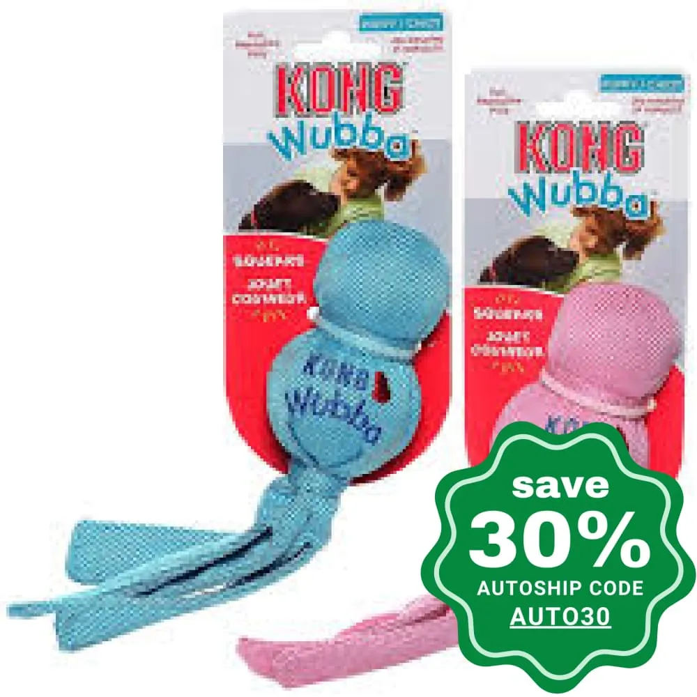 Kong - Puppy Wubba - Small