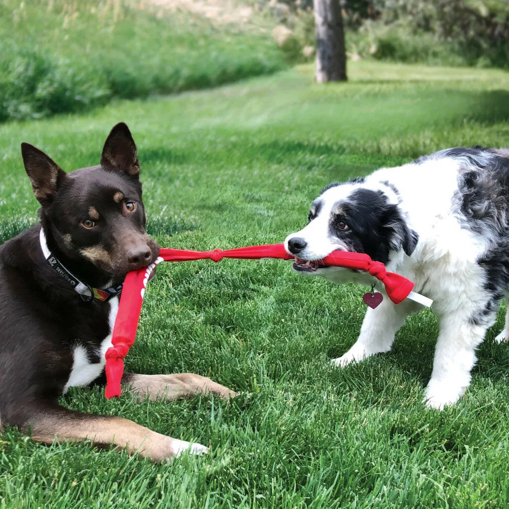 Kong Signature Crunch Triple Rope Toy For Dogs