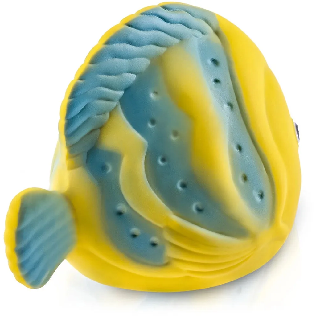 La the Butterfly Fish Bath Toy