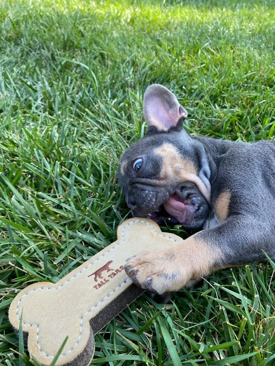 Leather Bone Fetch Dog Toy