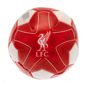 Liverpool FC 4 Inch Soft Ball