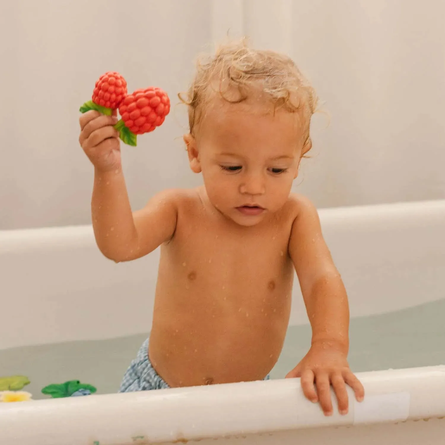 Oli & Carol: Valery the Raspberry Natural Rubber Teether & Bath Toy