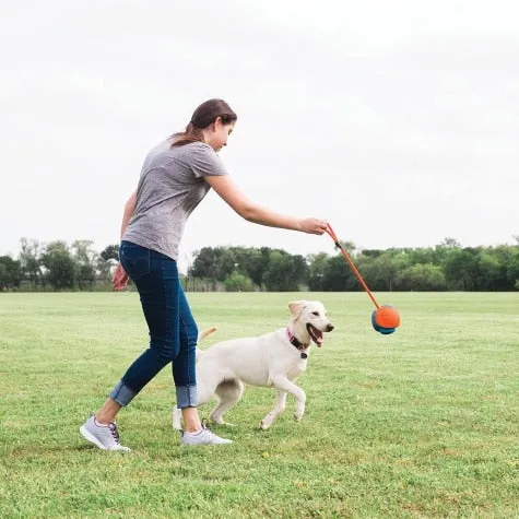 Petmate Chuckit! Rope Fetch