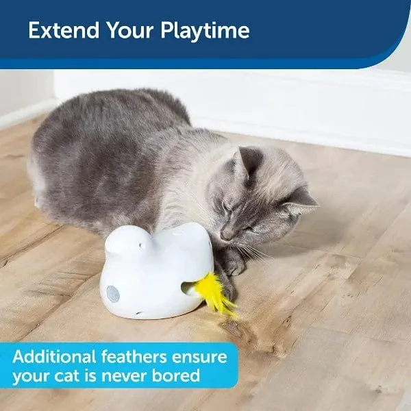 PetSafe Peek-A-Bird Cat Toy Replacement Feathers