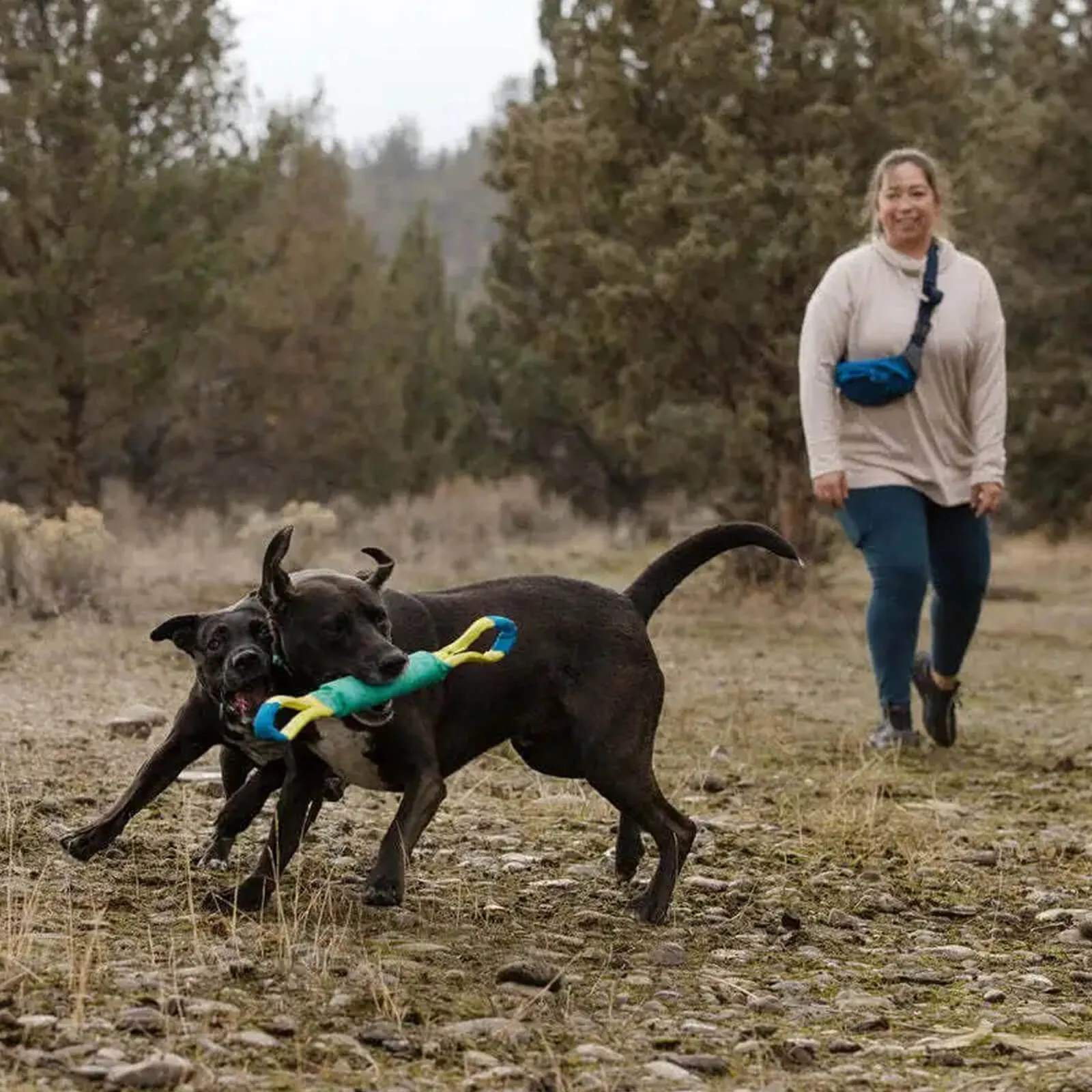 Ruffwear Pacific Loop Dog Toy