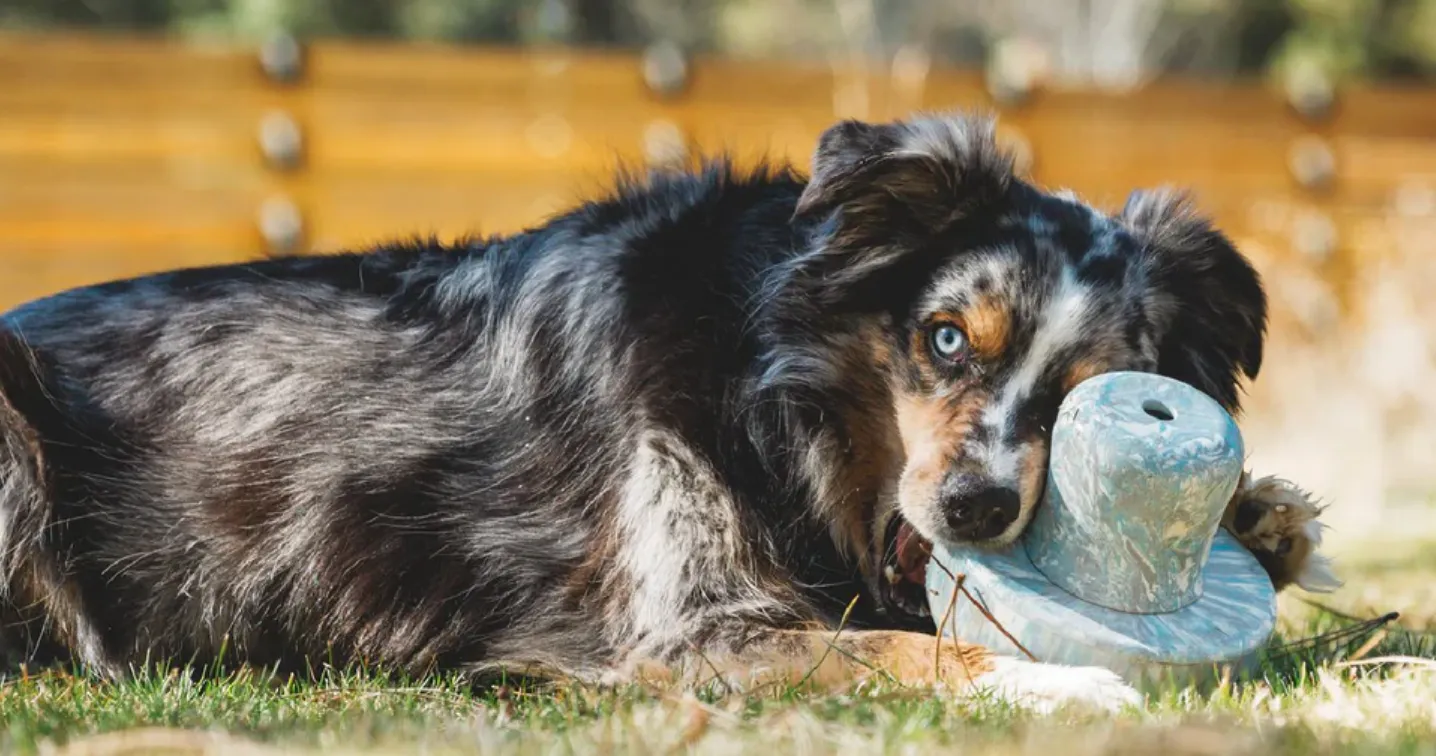 Ruffwear Porcini Toy