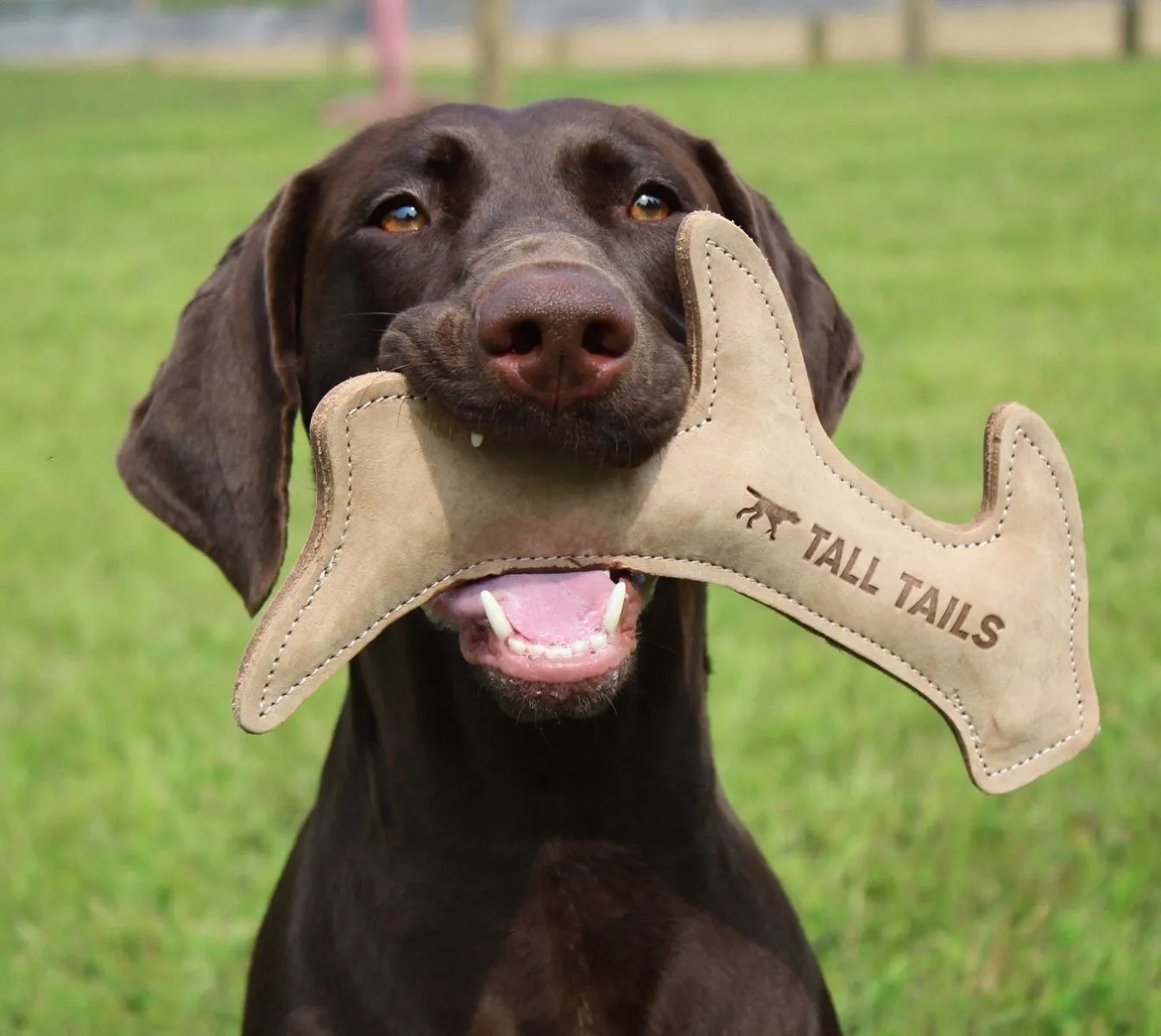 Tall Tails Dog Toy Natural Leather Antler