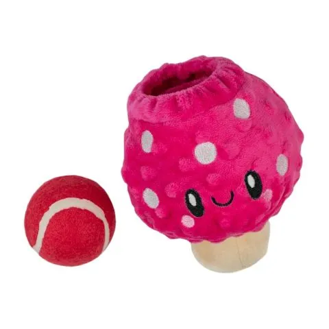 Territory 2-in-1 Outdoor Adventure Mushroom Dog Toy