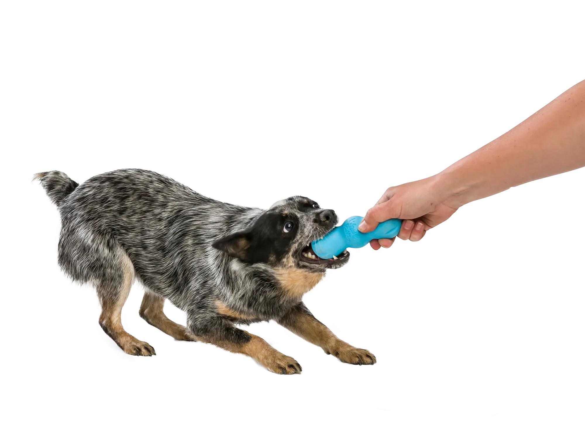 Toss and Fetch Dog toy, Zogoflex Rumpus