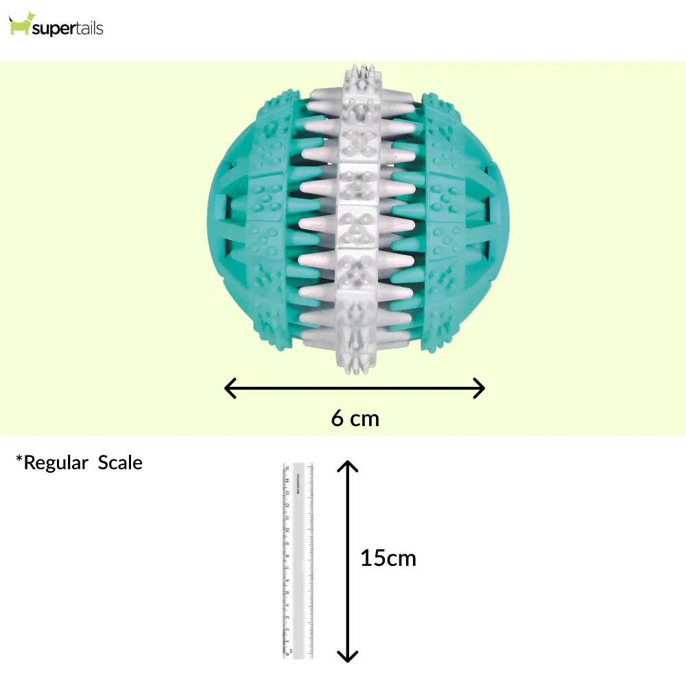 Trixie Mint Flavour Denta Fun Ball for Dogs