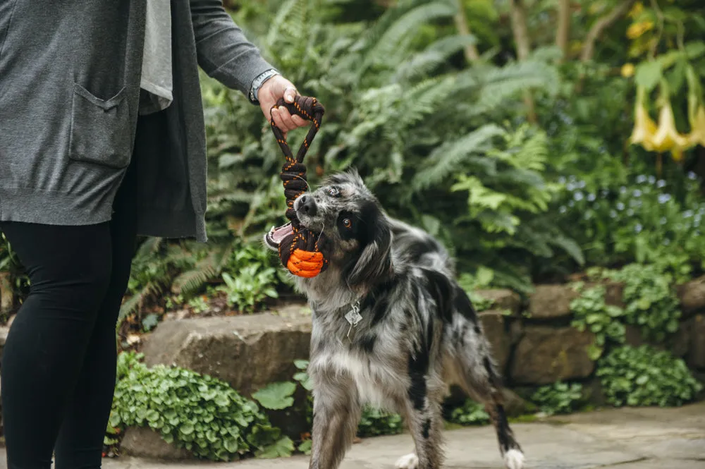 Tug Ball Rope Toy