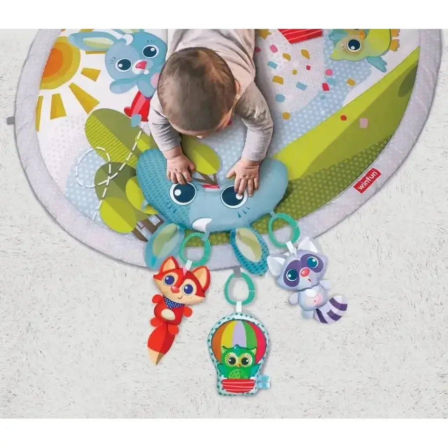 Winfun Babyspace Activity Gym